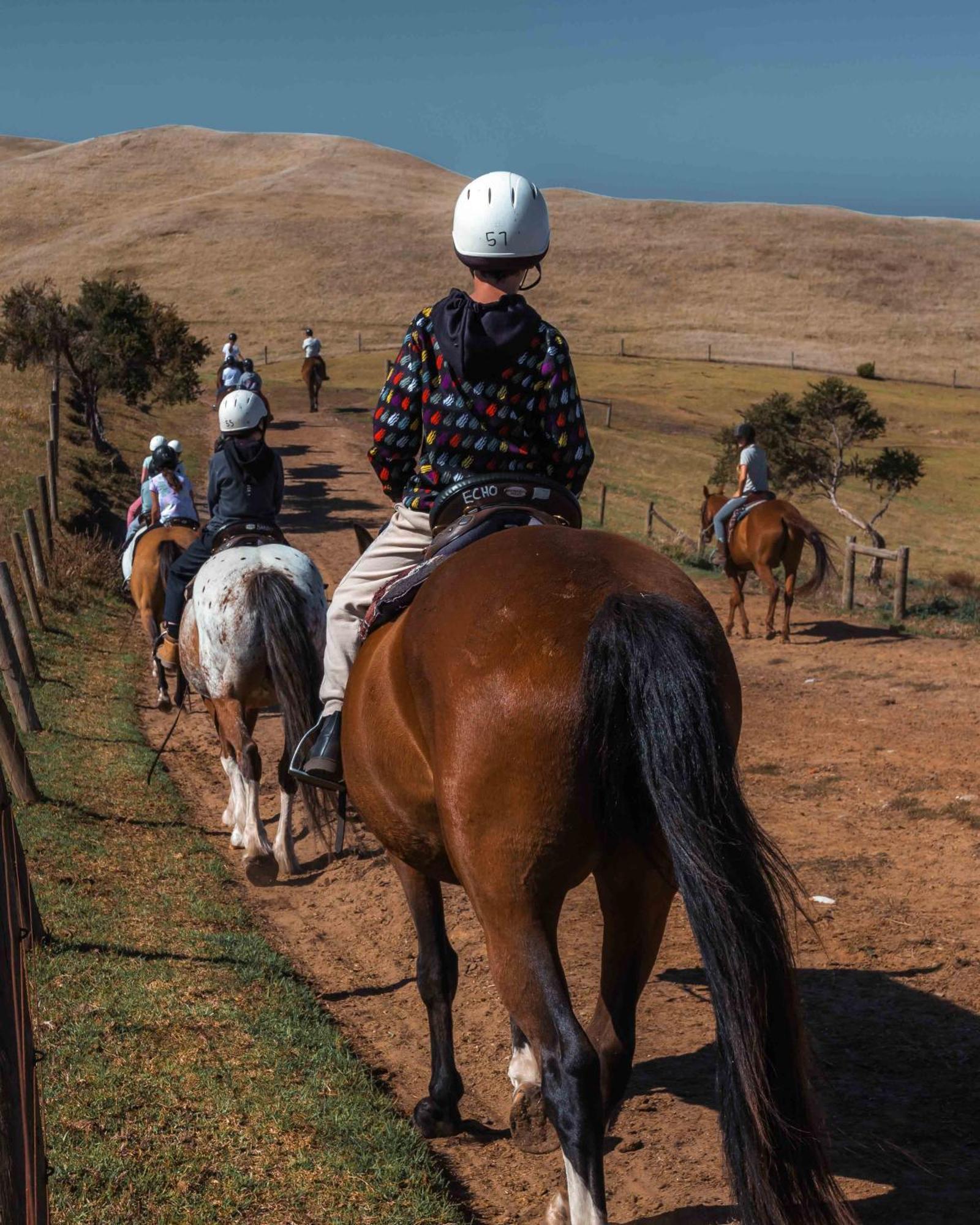 The Ranch Mornington Peninsula Villa Boneo Bagian luar foto
